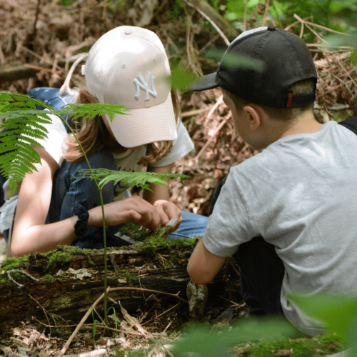 Les p'tits volontaires -J'AGIS POUR LA NATURE