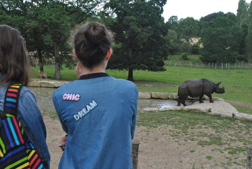 Apprenti soigneur- été