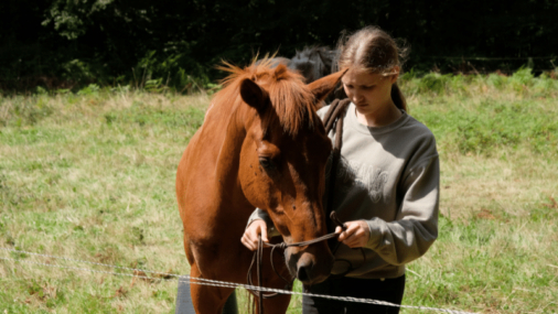 Stage d'équitation dans le Morbihan 8-11