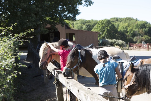 Académie équitation en Haute-Vienne - printemps - Image 1