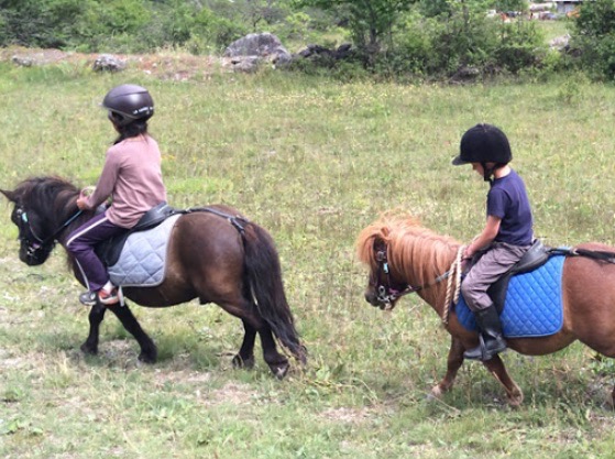 Académie équitation en Haute-Vienne - printemps - Image 2