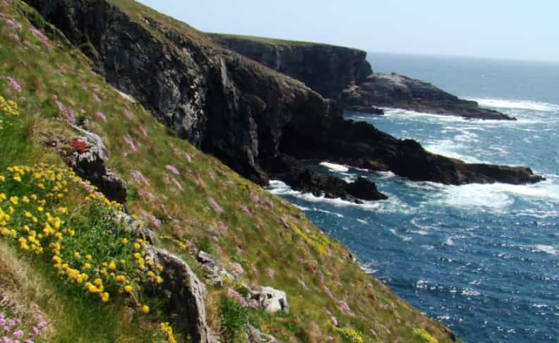 Anglais et football à Cork en famille  - Image 2