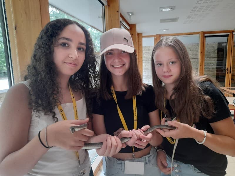 Nature, Zoo et Futuroscope - Image 3