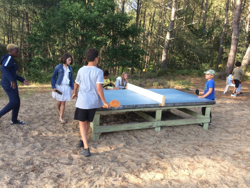 Surf dans les Landes - Image 1