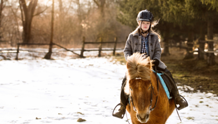 Equitation - Aventures à la montagne !  - Image 2