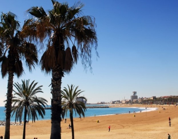  Barcelona & Majorca Experience - Image 3