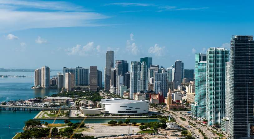 Colonie Floride in English - Image 2