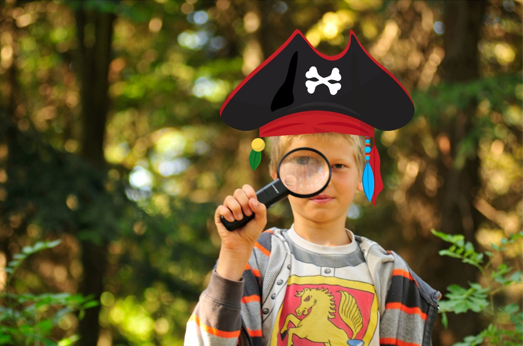 Pirates de la Forêt
