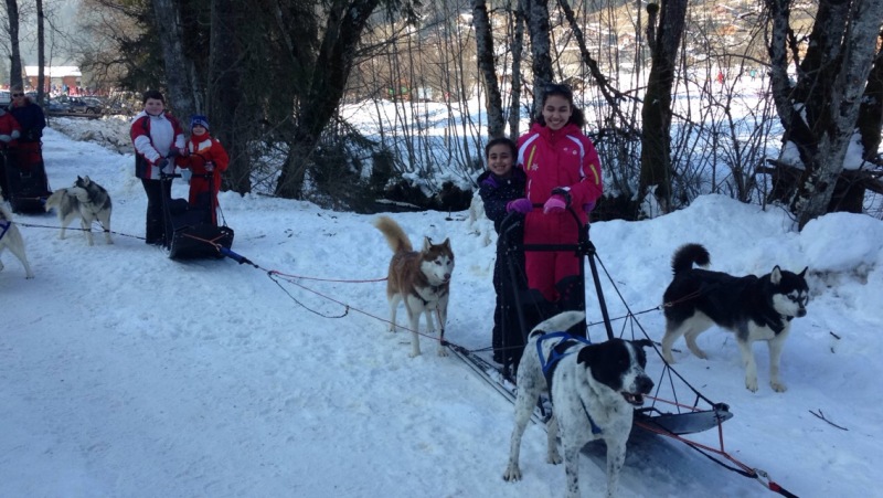 Chippewa Traîneaux Aventures