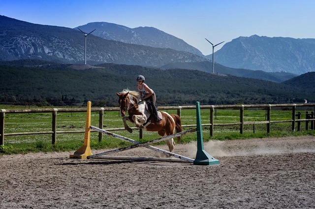 Colonie de vacances 100% équitation junior - Image 1
