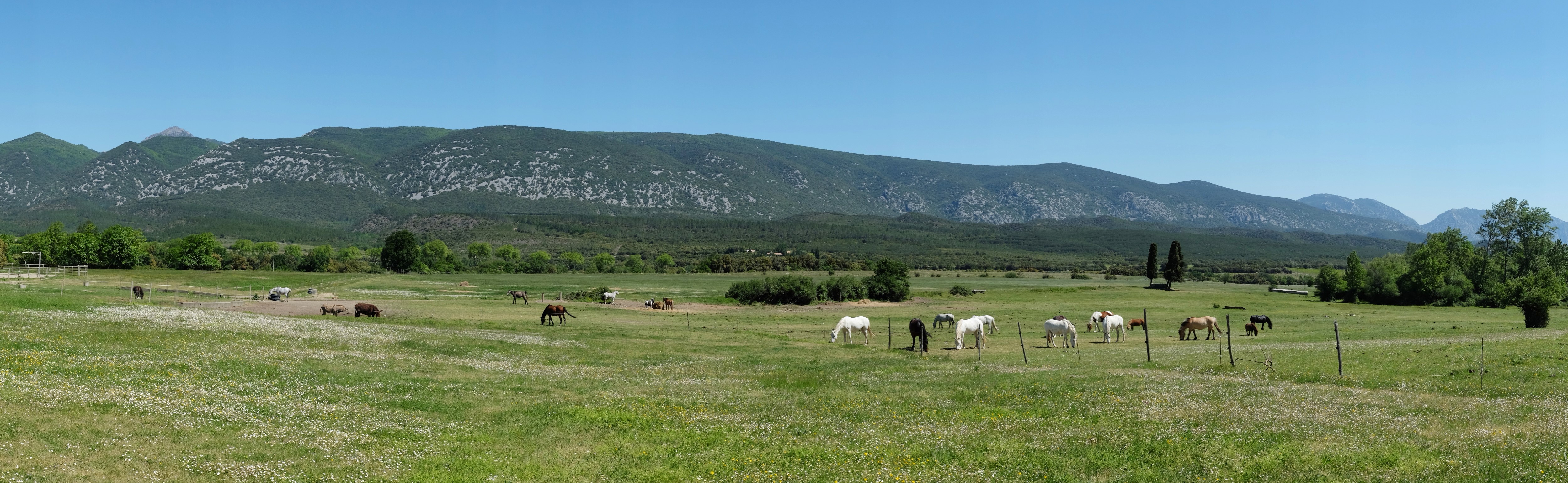 Equitation nature 10-14 ans - Image 2