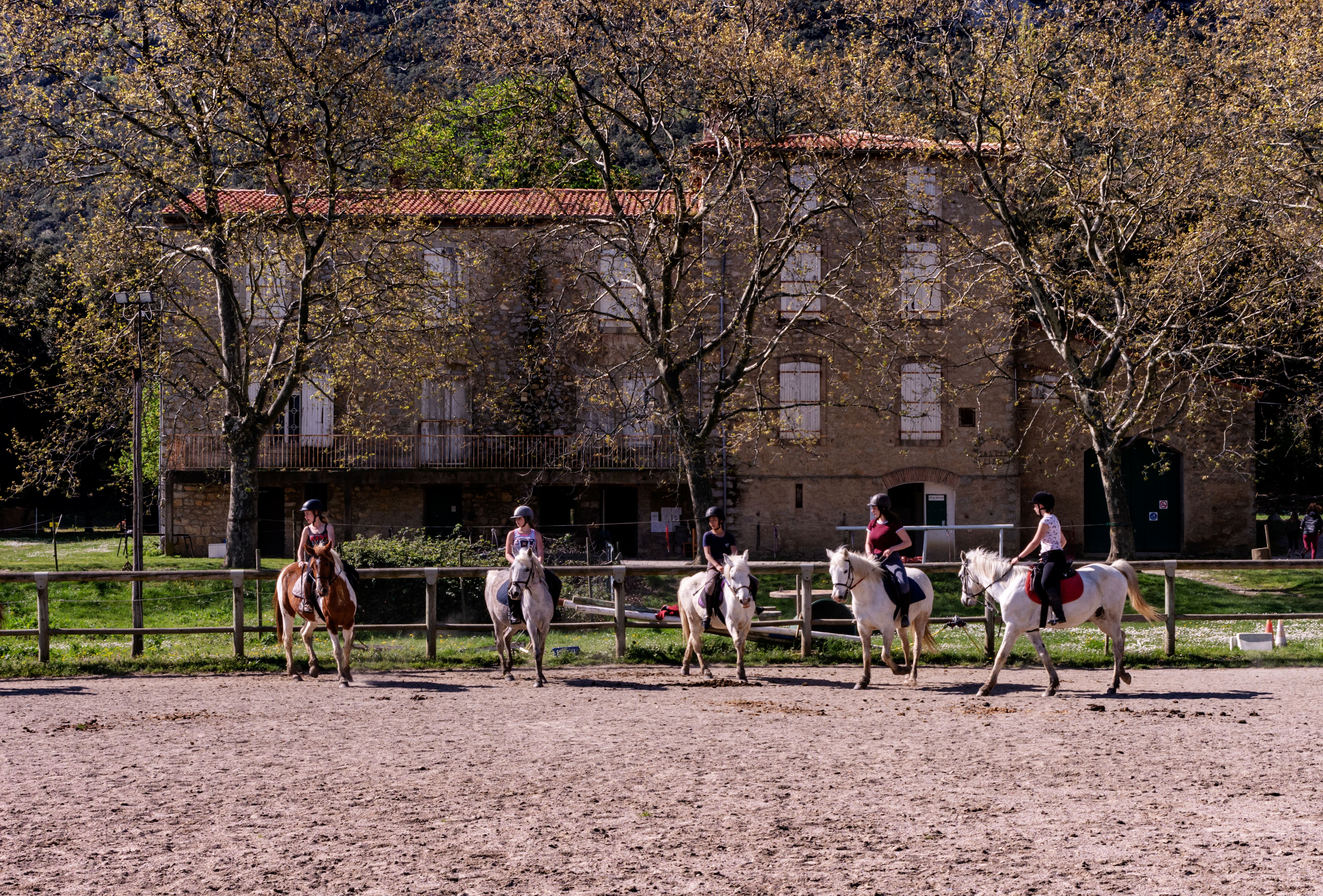 Equitation nature 10-14 ans