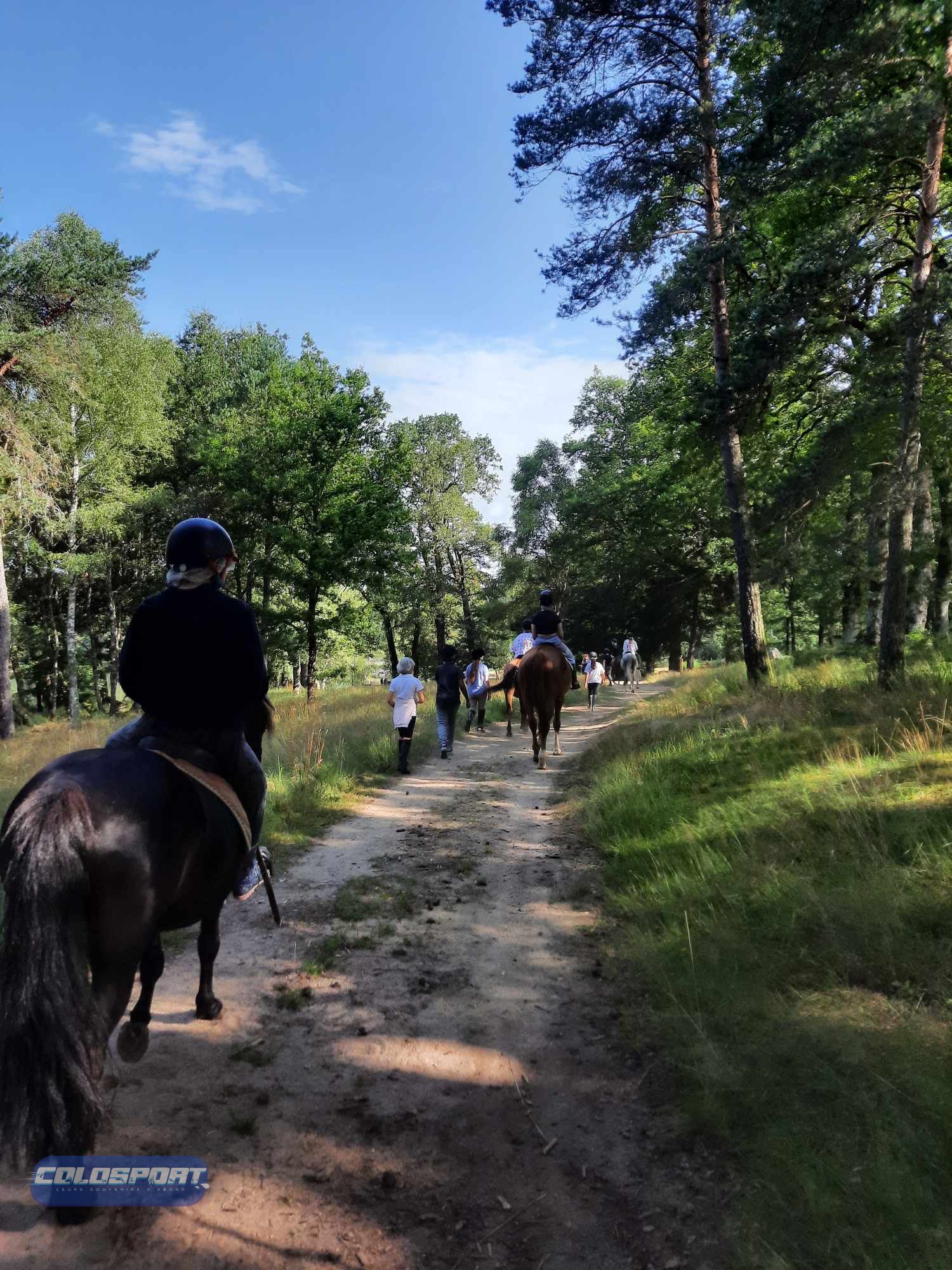 Séjour Equitation en club  - été 15 - 17 ans (Tente) - Image 1