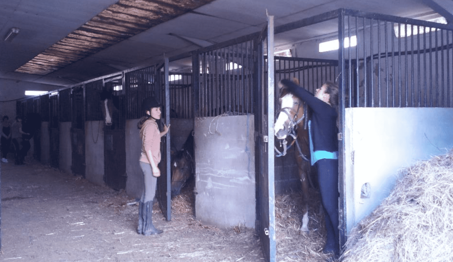 Séjour Equitation en club  - été 15 - 17 ans (Tente)
