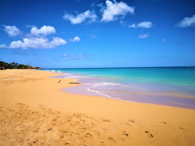 Guadeloupe Nature
