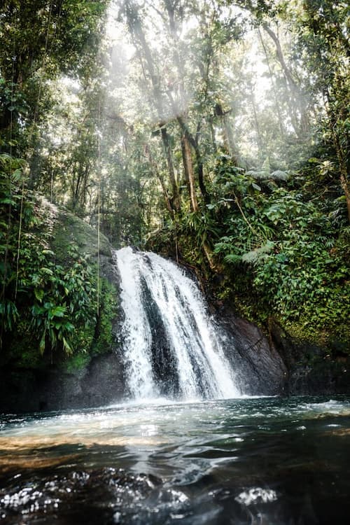 Guadeloupe Nature - Image 3