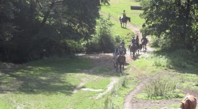 Colonie de vacances 100% équitation Limousin - Image 2