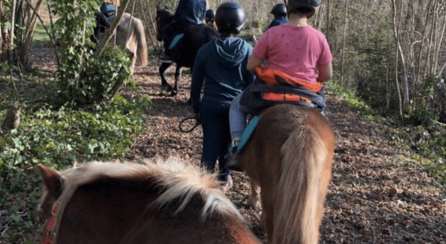 Passion équitation hiver au château