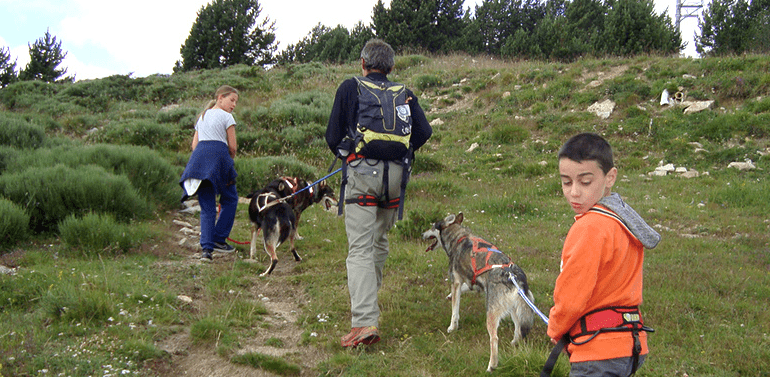 Sensation Husky - 7 jours