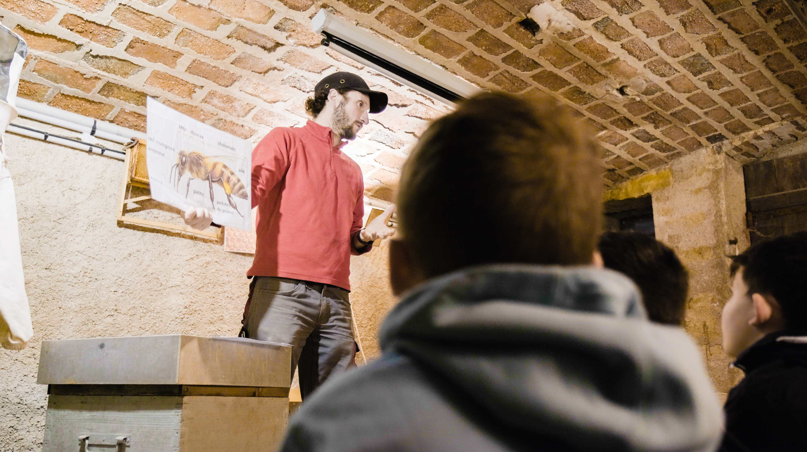 Thumbnail 10